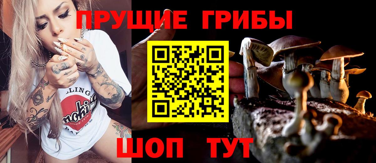 Псилоцибиновые грибы Psilocybe  Галлюциногенные грибы Psilocybe  Воронеж  Вход с VPN 